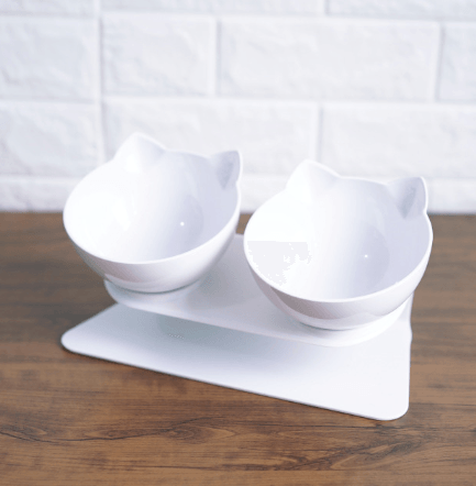 Deluxe Pet Dining Experience: Elegant Inclined Food Cat Bowl With Transparent Design