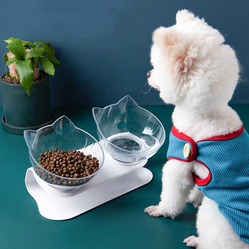 Deluxe Pet Dining Experience: Elegant Inclined Food Cat Bowl With Transparent Design
